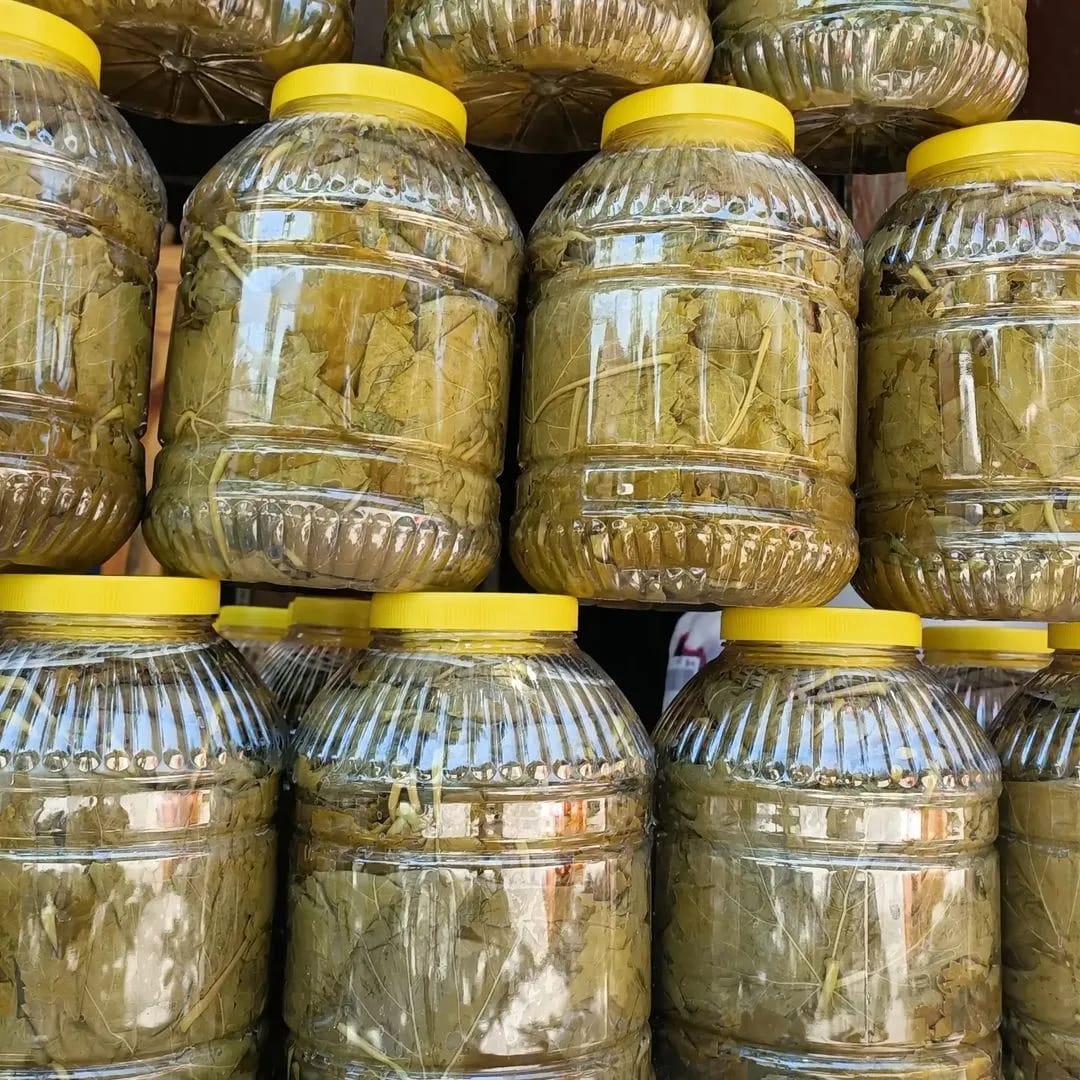 Asma yaprağı paket görseli